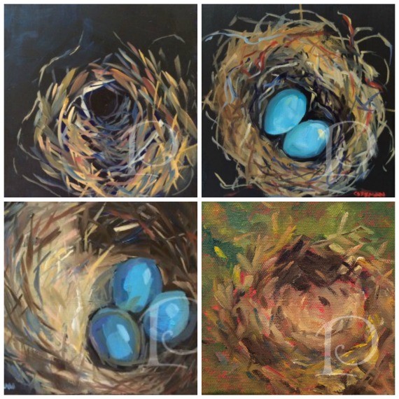 Nest Collage