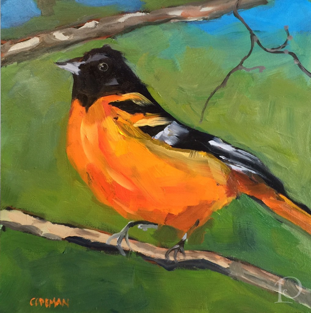 Orange Baltimore Oriole