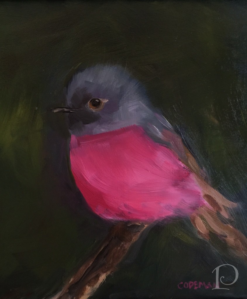 Pink Robin by Pamela Copeman