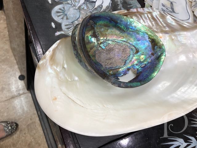 iridescent shell at lacquerware studio