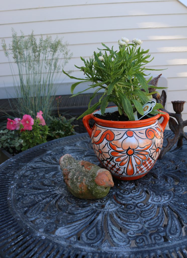 container garden full sun deck