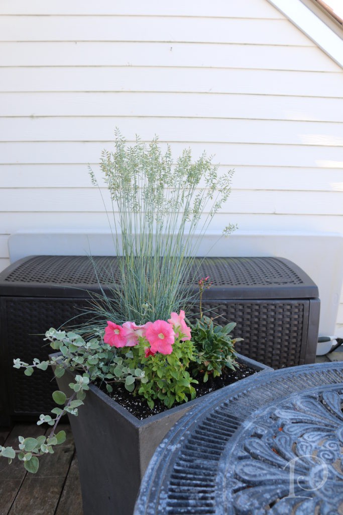 Summer container with pink petunias and grasses