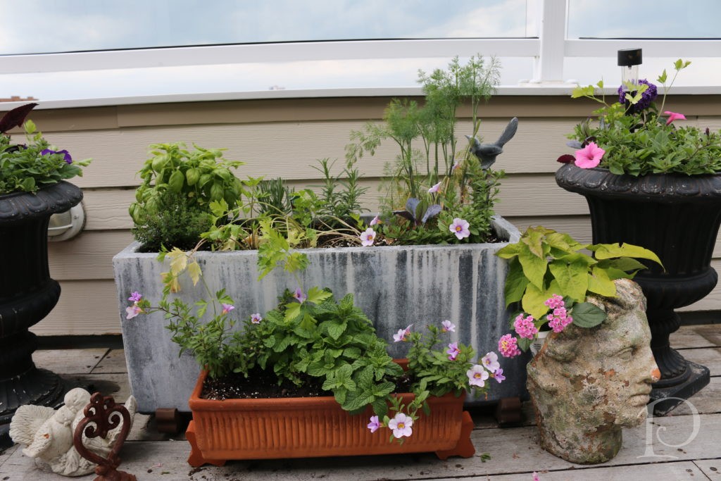 kitchen garden on deck with elevated feet